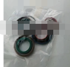 Paver Machine P6802C Sealing Kits Model NO. 545869