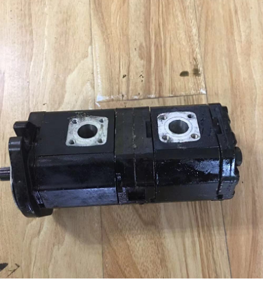 Wirtgen SP250 imported parts Double gear pump part