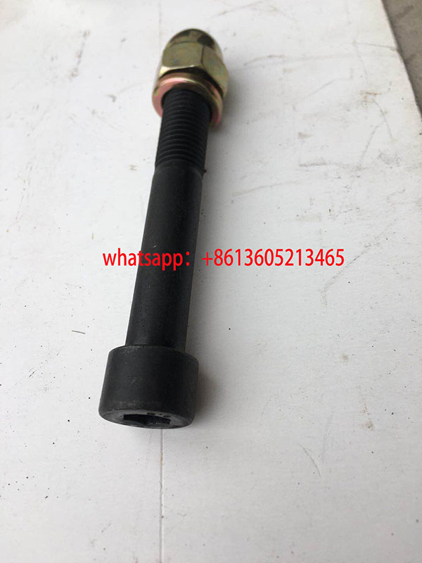 Paver 4618242237 External Hexagonal Bolt - Blacken
