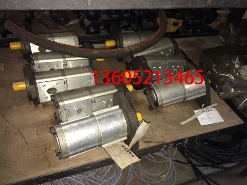 ABG paver dual gear pump 14069215
