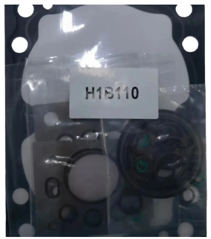 Sauer H1B110 Hydraulic Motor Pump Spare Parts Gask