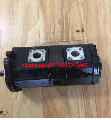 SP250 imported milling machine double gear pump C1
